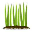 grow